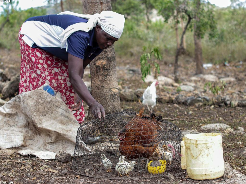 ព័ត៌មានសកម្មភាព: ការបង្ហាញនូវសកម្មភាពពិសេសក្នុងសង្គម