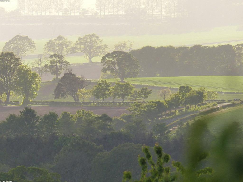 សារៈសំខាន់នៃព័ត៌មានសកម្មភាពក្នុងសង្គមពេលនេះ